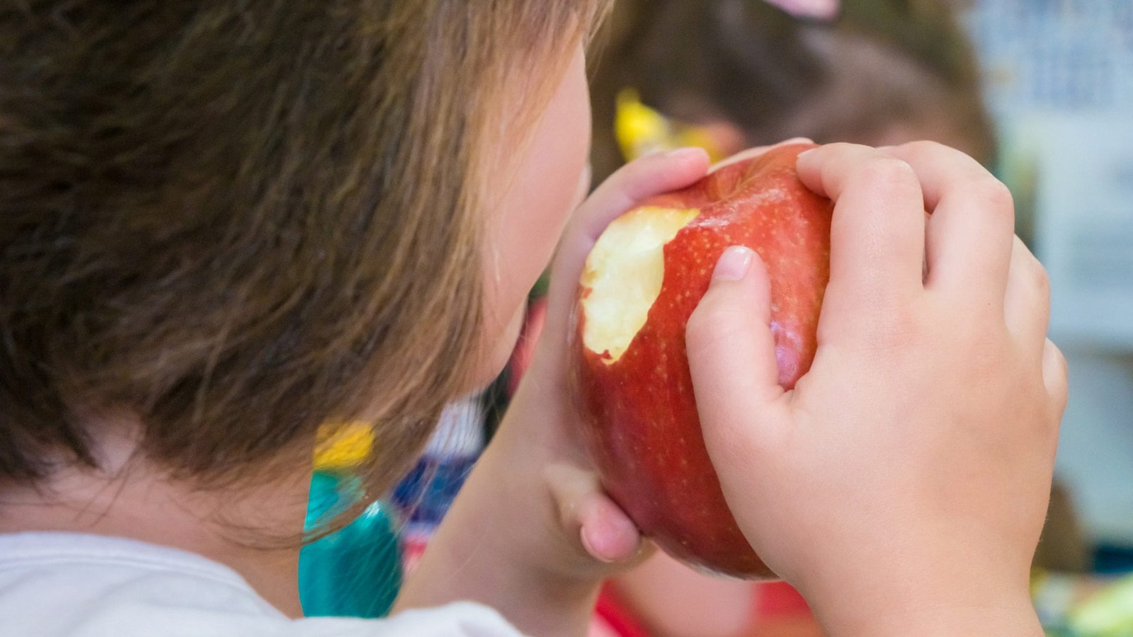 El Ratoncito Pérez va a la escuela