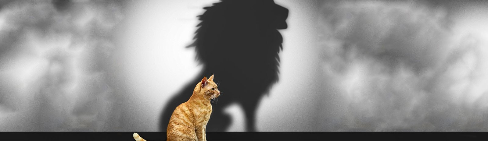 El Valor de las Cosas