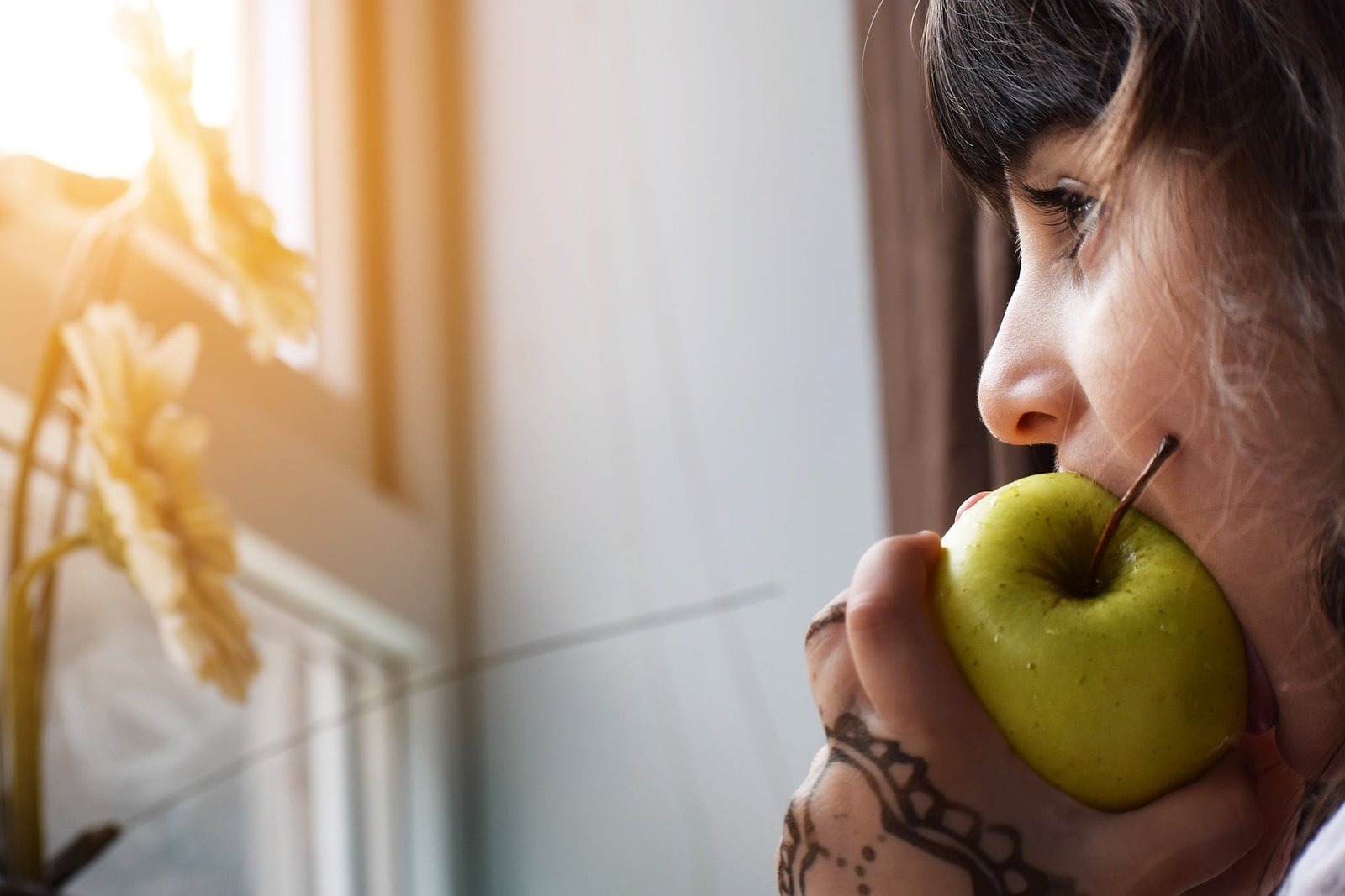 alimentos